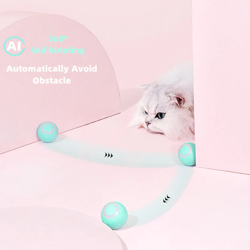 PawPlay - Aktivieren Sie die natürlichen Instinkte Ihrer Katze!
