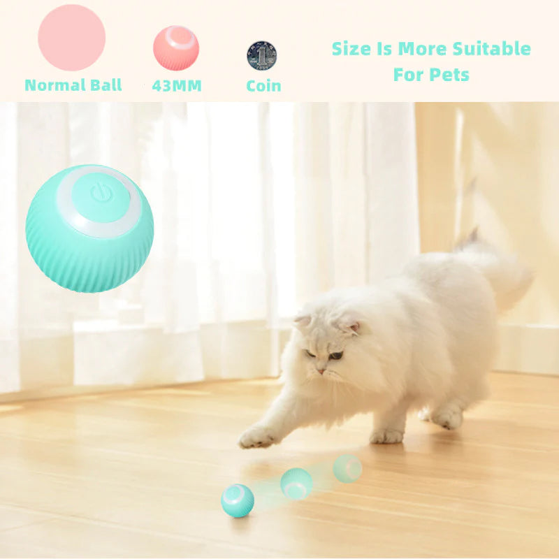 PawPlay - Aktivieren Sie die natürlichen Instinkte Ihrer Katze!