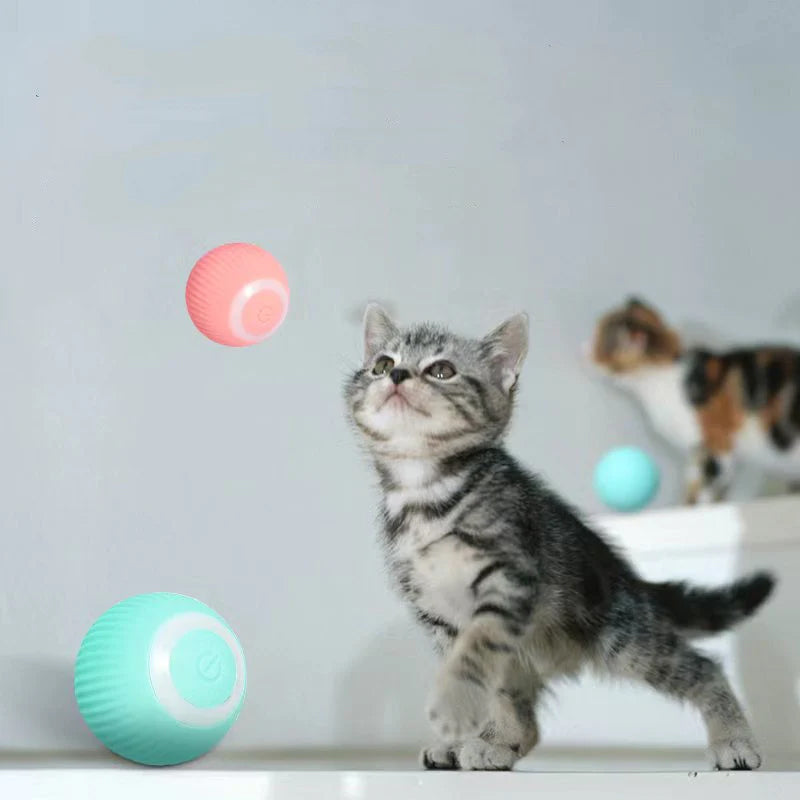 PawPlay - Aktivieren Sie die natürlichen Instinkte Ihrer Katze!