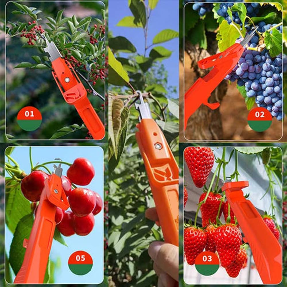 GartenMeister – Müheloses Ernten leicht gemacht!