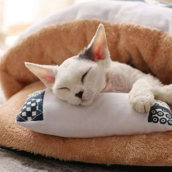 SleepyPaw – Kuscheliges Haustierbett mit Kissen