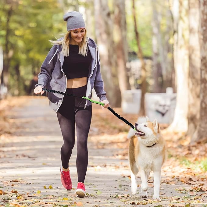 PawsFree Pro – Genieße stressfreie Spaziergänge mit deinem Hund