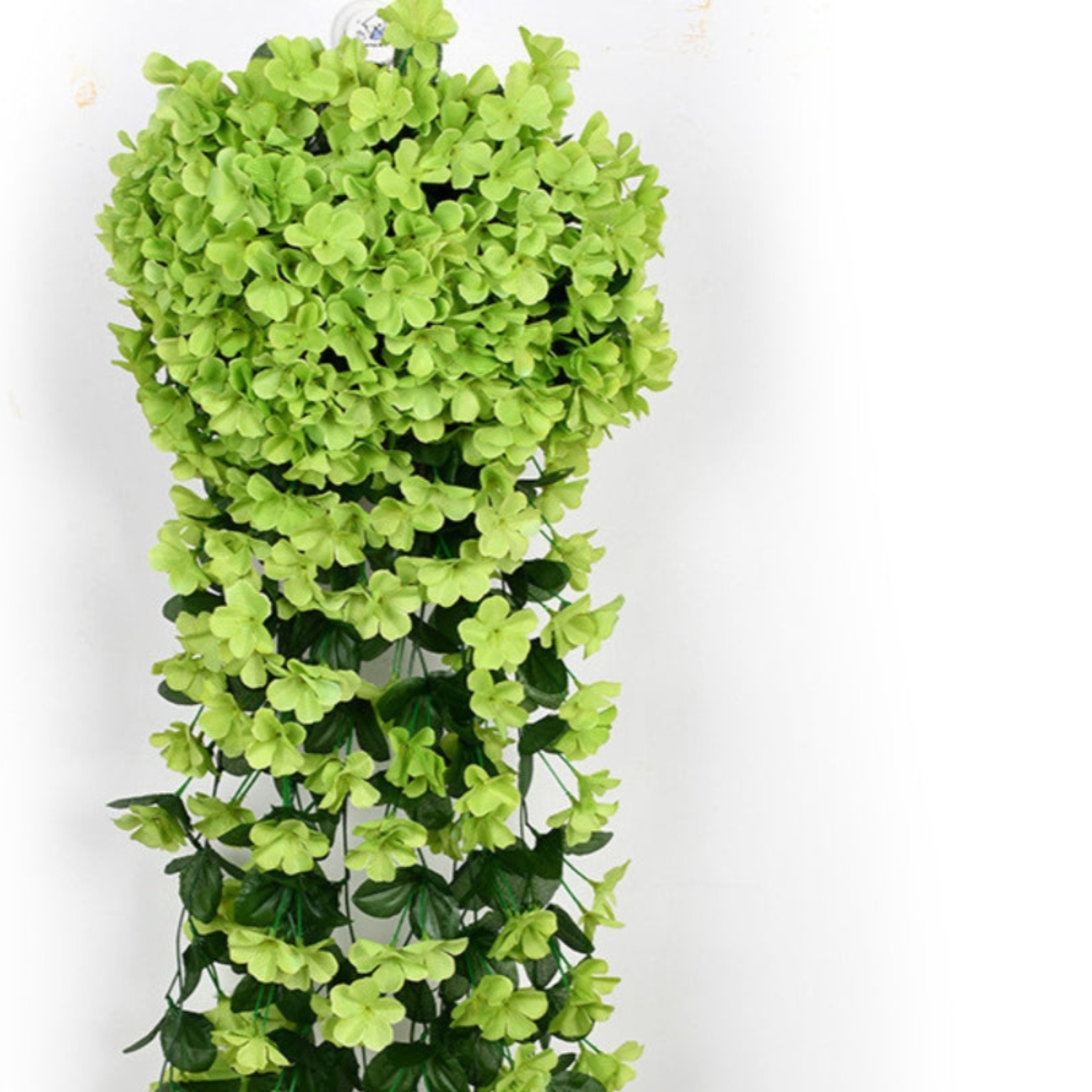 PlantGlow – Natürliche Eleganz, dauerhaft frisch [Letzter Tag Rabatt]