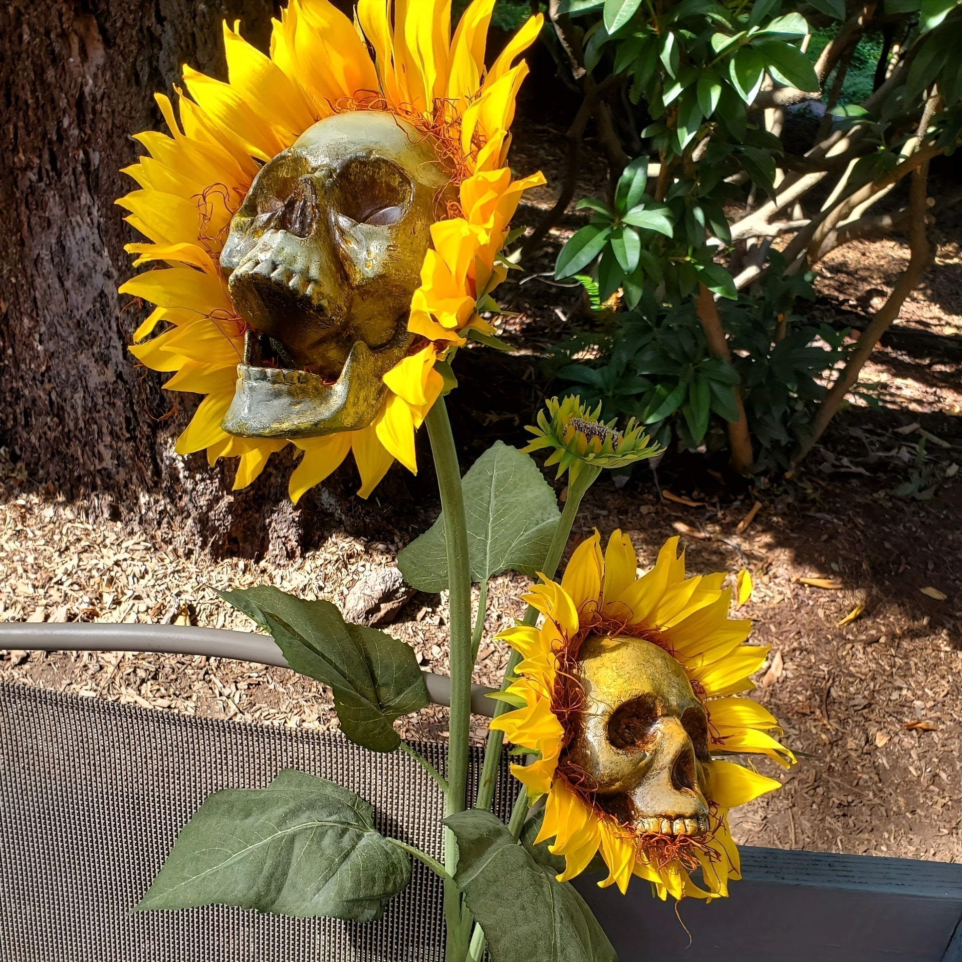 BloomSkull – Die faszinierend schöne Sonnenblume, perfekt für Halloween!