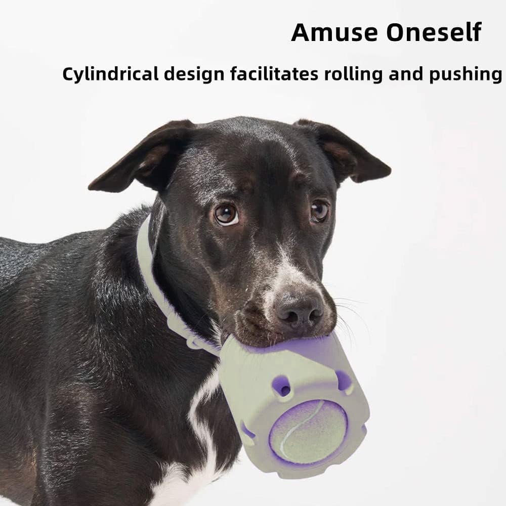 ChewJoy Pro – Gesunde Zähne, glücklicher Hund