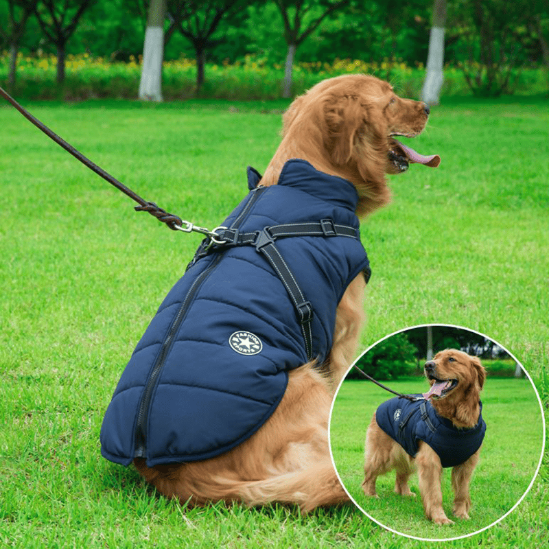 PupGuard - Winter-Hundejacke mit Geschirr