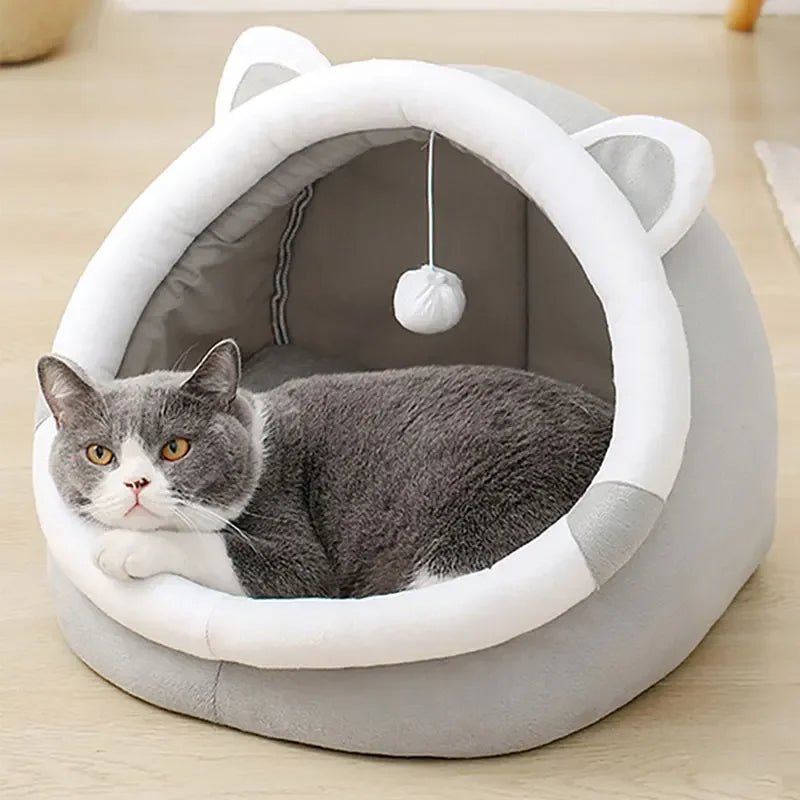 PurrOasis – Das gemütliche Refugium für glückliche Katzen