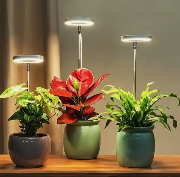 HerbaLite - Pflanzenlampe mit Vollspektrum und verstellbarem Ständer