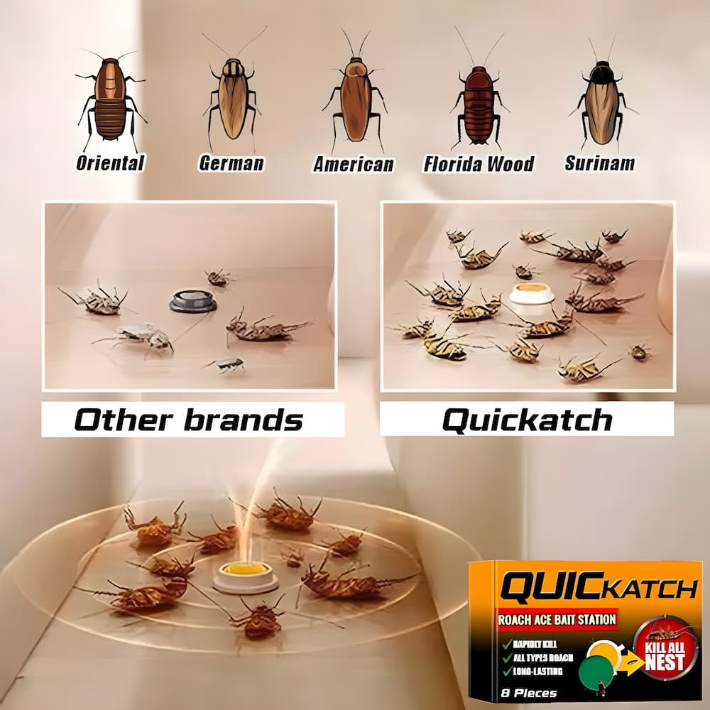 4+4 GRATIS | RoachShield – Schluss mit Ungeziefer, ganz ohne Chemie!