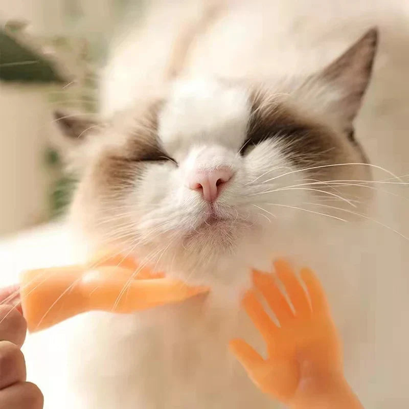 PawsTouch – Das Spielzeug, das jede Katze sofort liebt