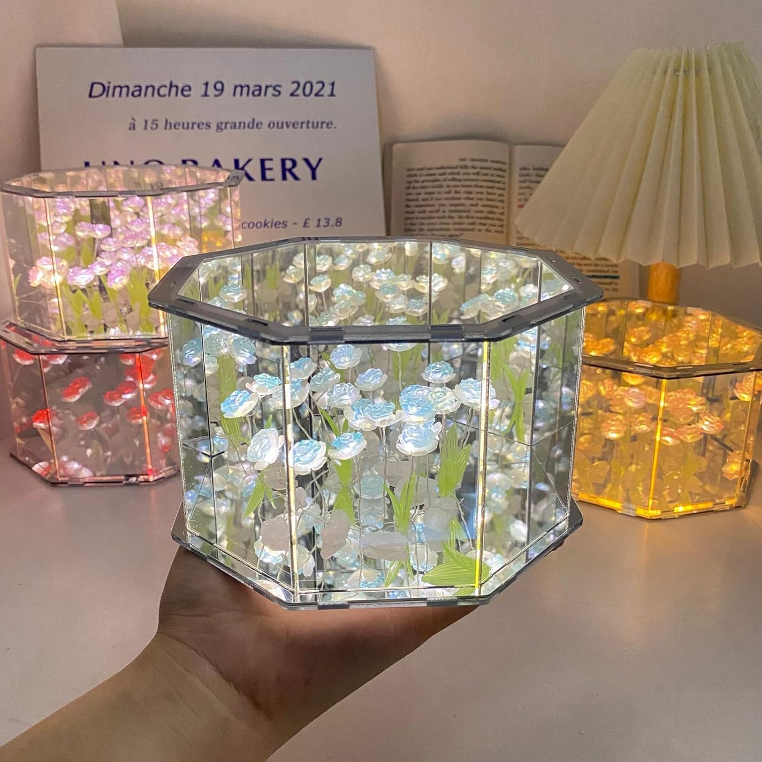 HexaBloom – Die bezaubernde Blumenbox mit endloser Blütenillusion