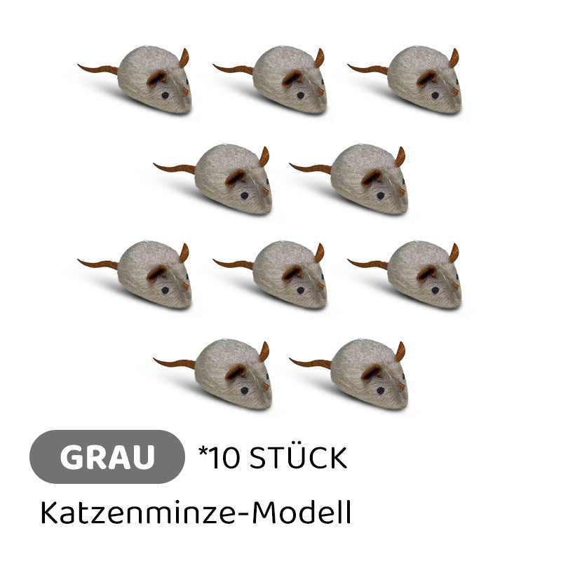 2+1 GRATIS | CatPlay – Jagen, spielen und anfeuern – endloser Spaß für Ihre Katze