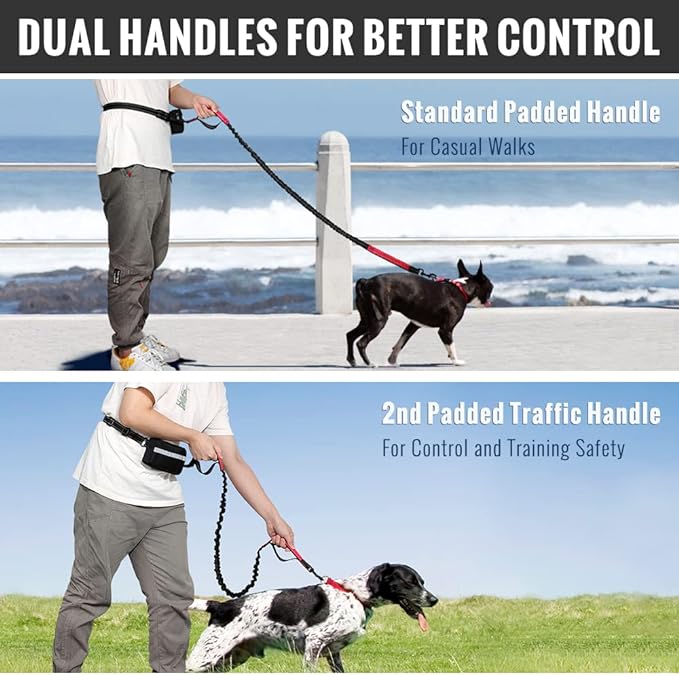 PawsFree Pro – Genieße stressfreie Spaziergänge mit deinem Hund