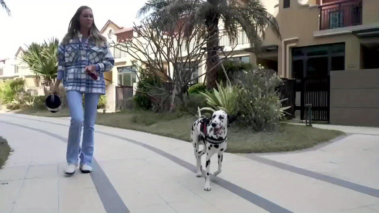 Hunde-Wasserflasche PawQuench Max | 2,18 L Kapazität | Mit Faltbarer Trinkschale | BPA-frei & Tragbar