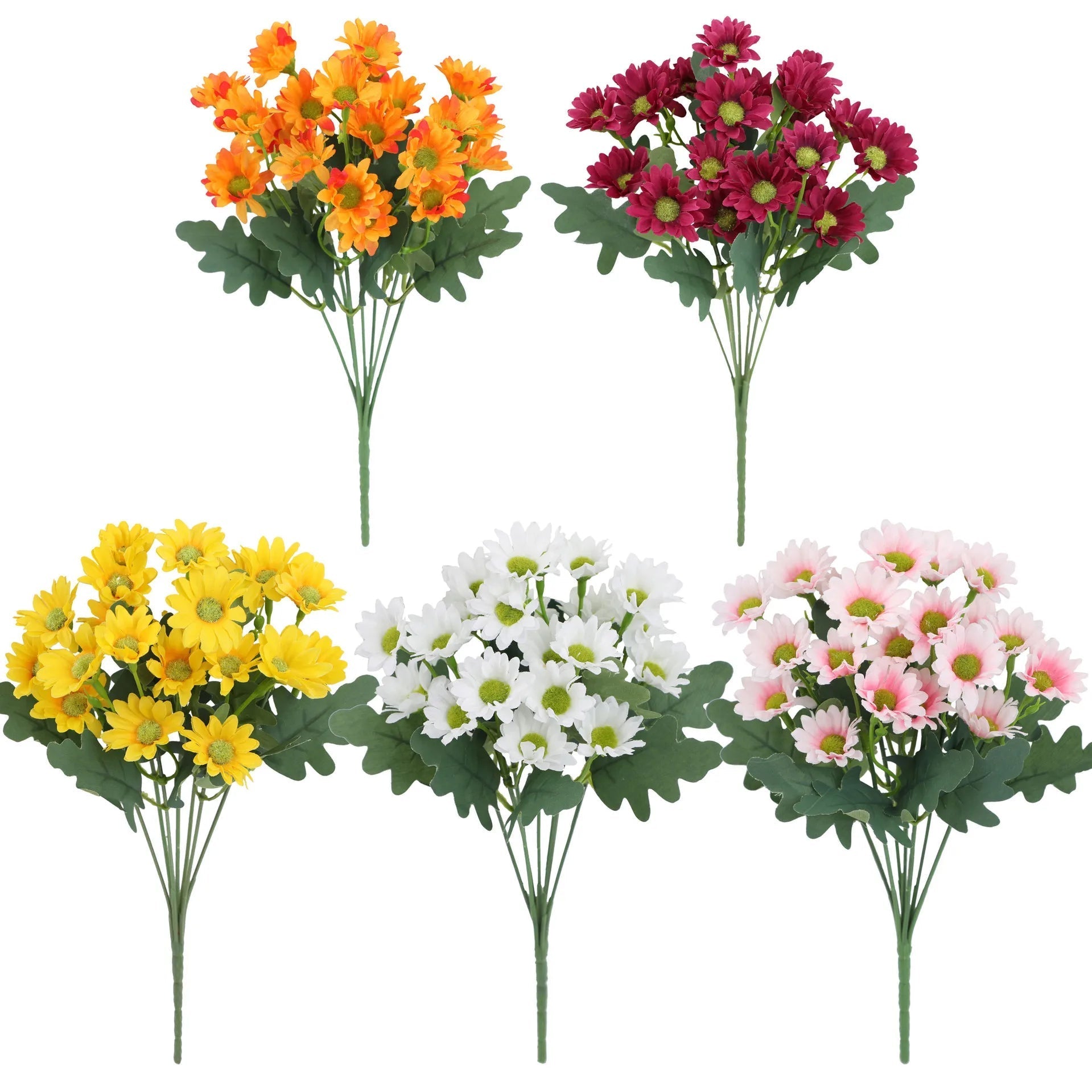 1+1 GRATIS | EverDaisies – Zeitlose Strahlkraft, die bleibt!