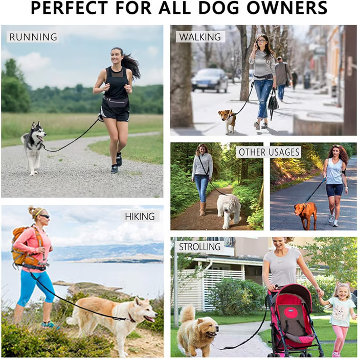 PawsFree Pro – Genieße stressfreie Spaziergänge mit deinem Hund