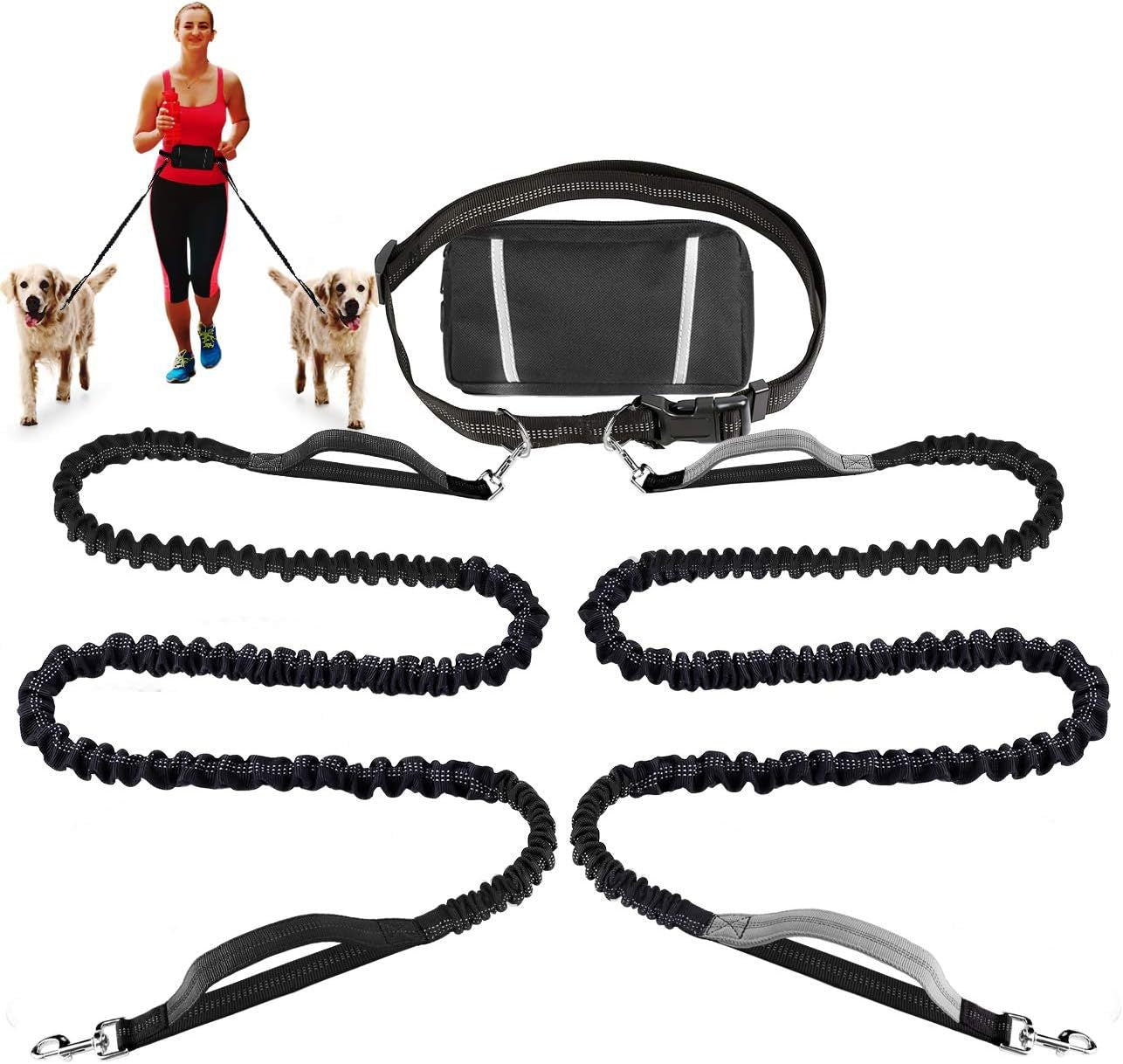 PawsFree Pro – Genieße stressfreie Spaziergänge mit deinem Hund