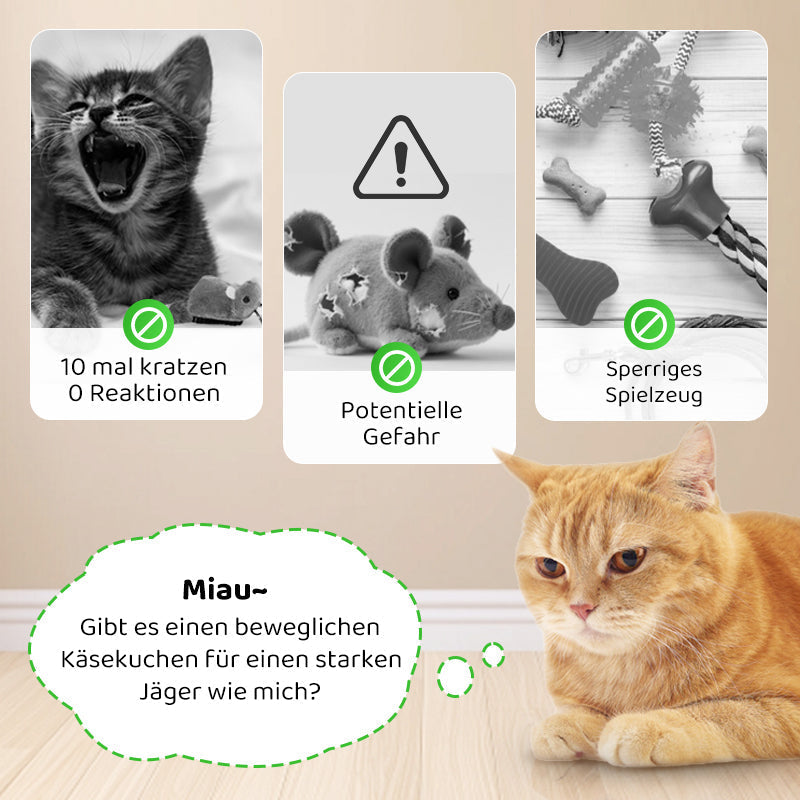 2+1 GRATIS | CatPlay – Jagen, spielen und anfeuern – endloser Spaß für Ihre Katze
