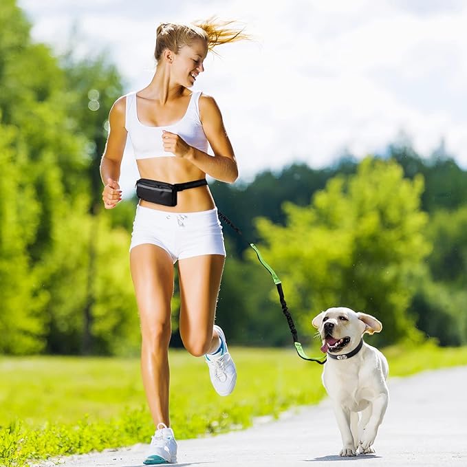 PawsFree Pro – Genieße stressfreie Spaziergänge mit deinem Hund