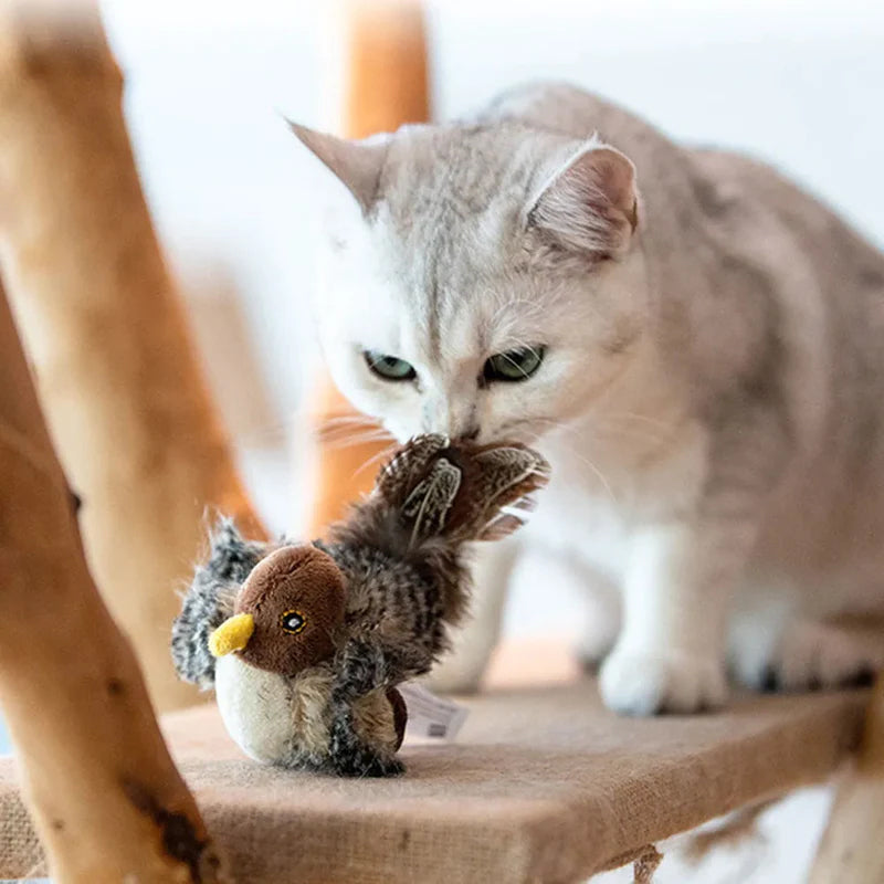 BirdyPurr - Der sichere Spielgefährte für Ihre Katze!