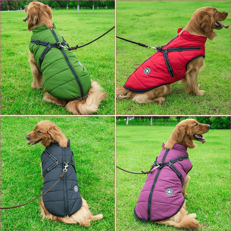 PupGuard - Winter-Hundejacke mit Geschirr