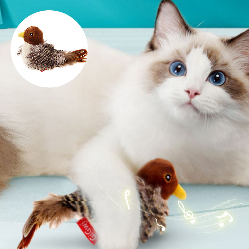 BirdyPurr - Der sichere Spielgefährte für Ihre Katze!