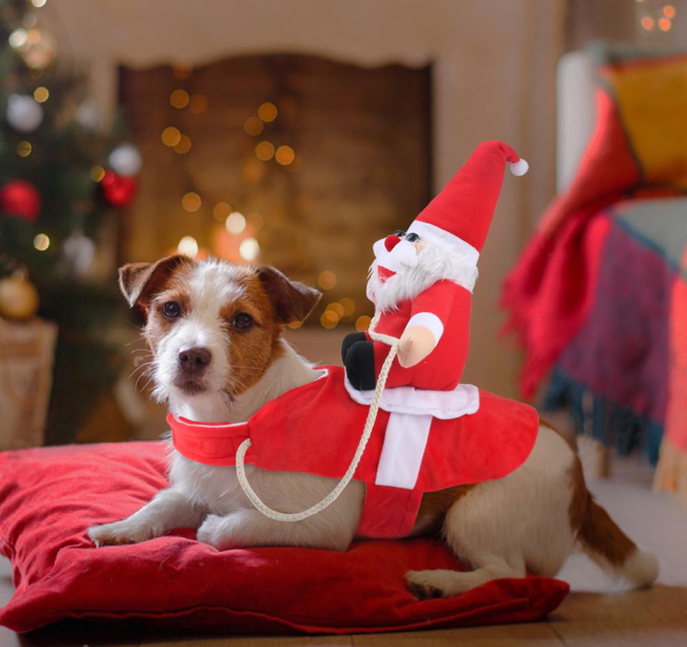 HollyPaws - kuscheliges, verstellbares Weihnachtsoutfit für Hunde