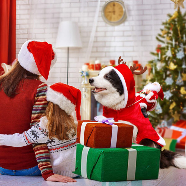 HollyPaws - kuscheliges, verstellbares Weihnachtsoutfit für Hunde