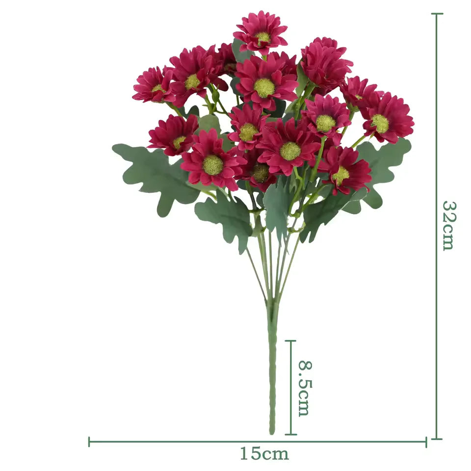 1+1 GRATIS | EverDaisies – Zeitlose Strahlkraft, die bleibt!