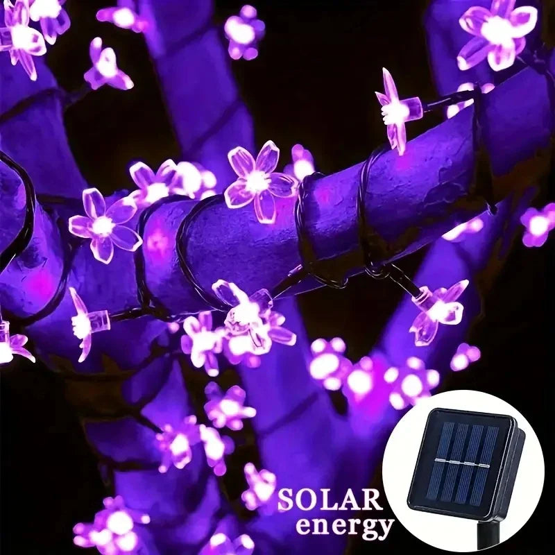 Solar Lichterkette LumiCord | Warmweißes LED-Licht | Energiesparend & Wetterfest | Für Garten, Balkon & Feste