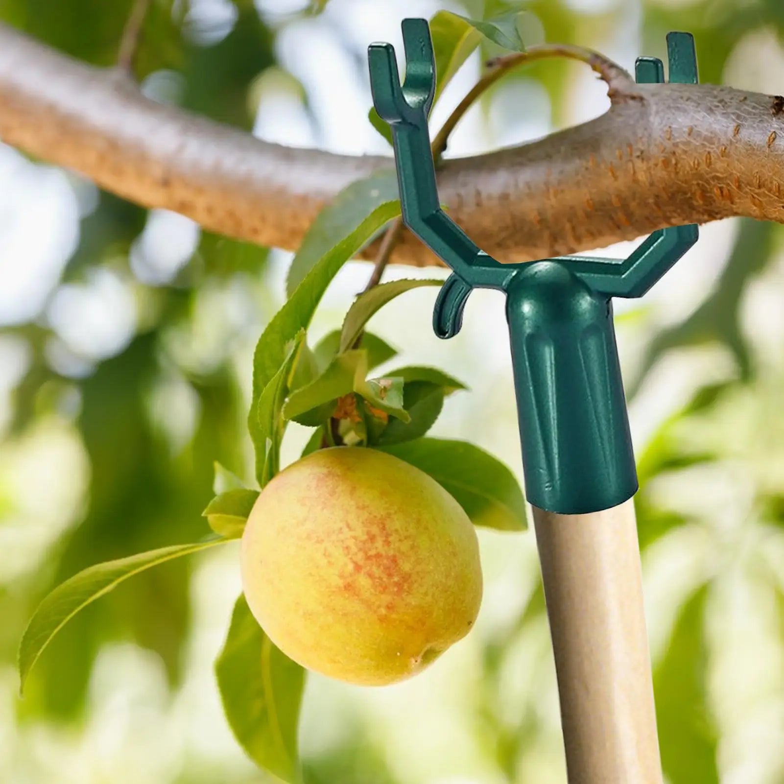 Planturax 5er-Set Aststützen aus Metall | Verstellbare Baumbügel für Obstbäume & Kletterpflanzen | Rostfrei & wiederverwendbar | 10 × 6 cm