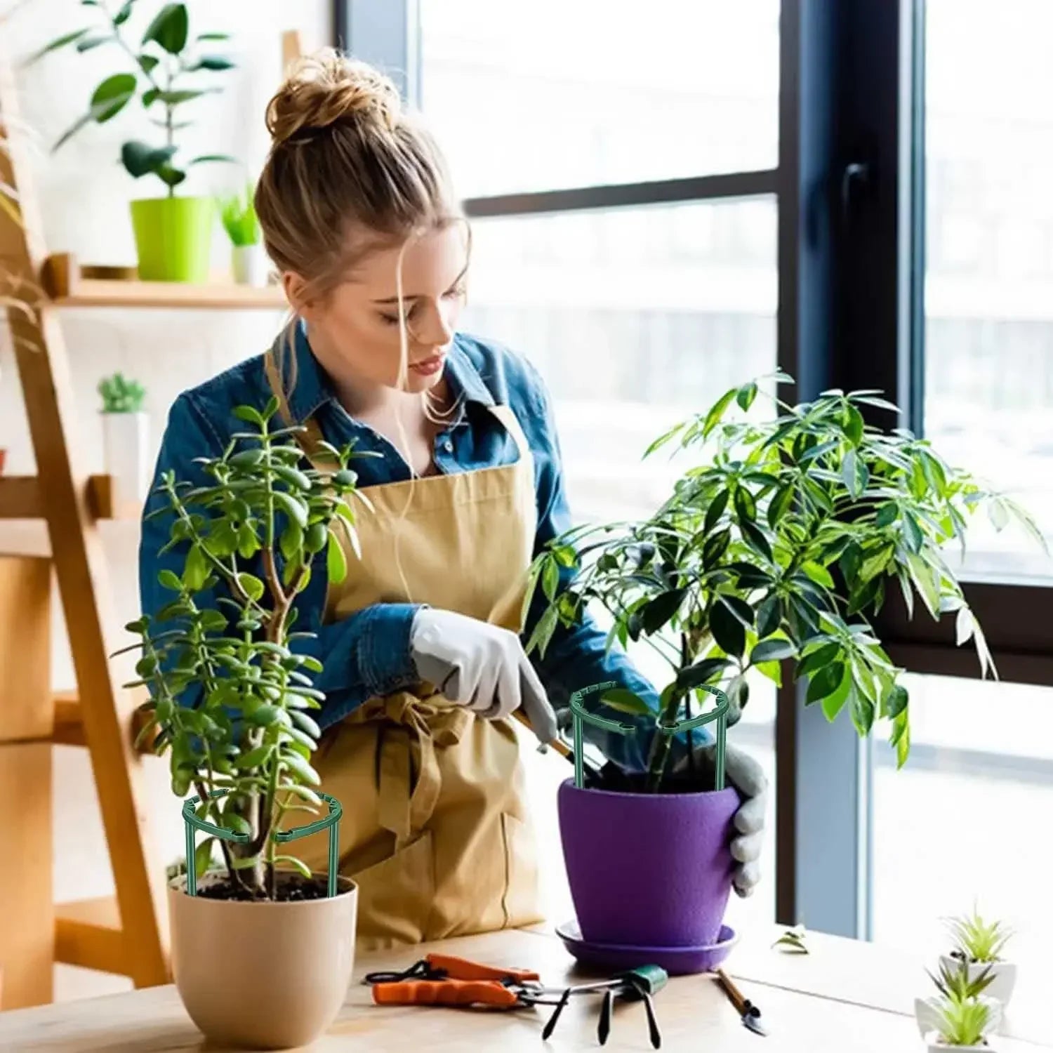 Floriva Pflanzenhalter | Stabil & Wiederverwendbar | Für Blumen & Gewächshaus