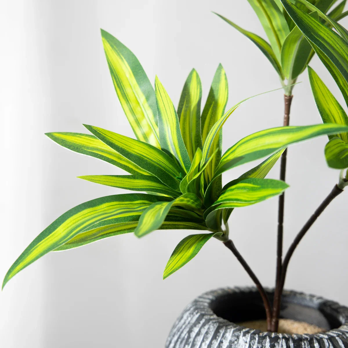 TROPALIS Künstliche Palmenzweige | 3 Köpfe | 36 cm | Tropische Deko für Zuhause & Büro