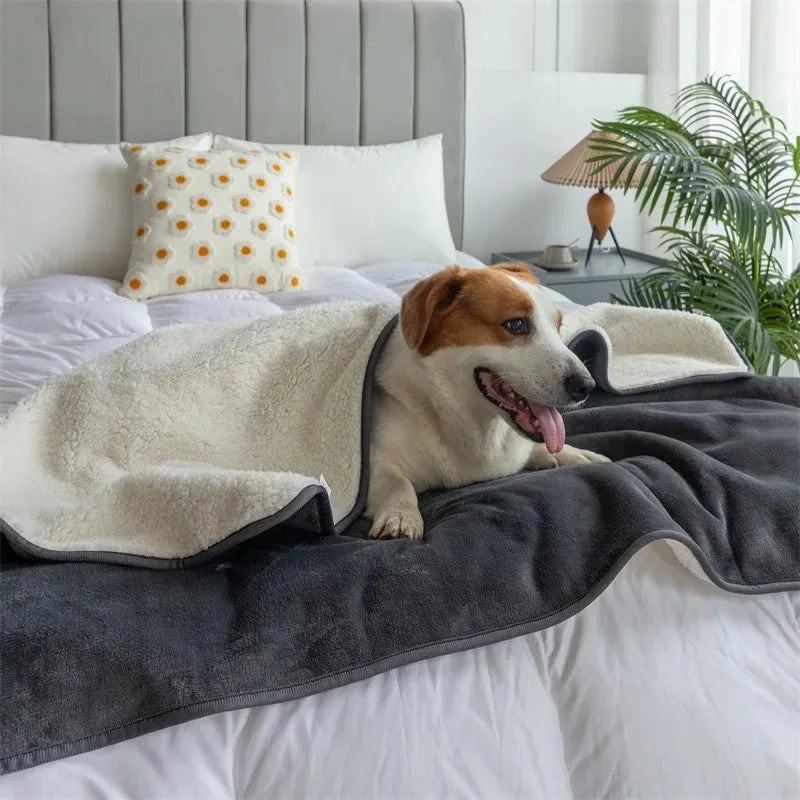 Wasserdichte Haustierdecke PawProof | Für Hunde & Katzen | Kuschelig & Strapazierfähig
