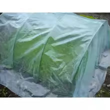 Gewächshausfolie Floragard ClearProtect | 2 m / 2,5 m Breite | UV-beständige Polyethylen-Abdeckfolie für Garten & Gemüsebeet