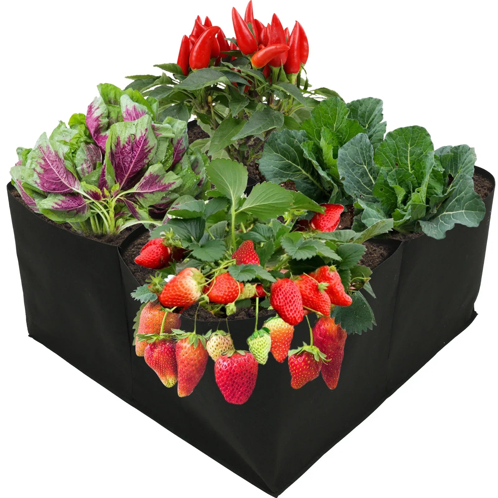 Pflanzsack FlextoGrow | Hochbeet aus Filz mit 4/8 Fächern | Tragbar & atmungsaktiv | Für Gemüse, Kräuter & Blumen