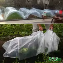 Gewächshausfolie Floragard ClearProtect | 2 m / 2,5 m Breite | UV-beständige Polyethylen-Abdeckfolie für Garten & Gemüsebeet