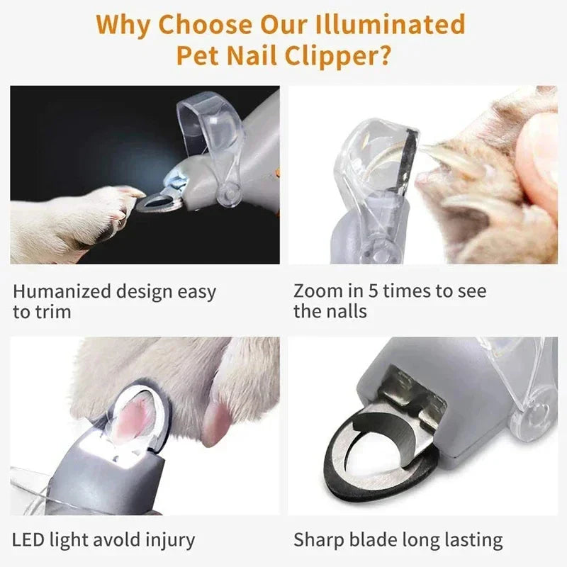 LED Krallenschneider PawBright | Sichere Nagelpflege für Haustiere | Edelstahl & Ergonomischer Griff