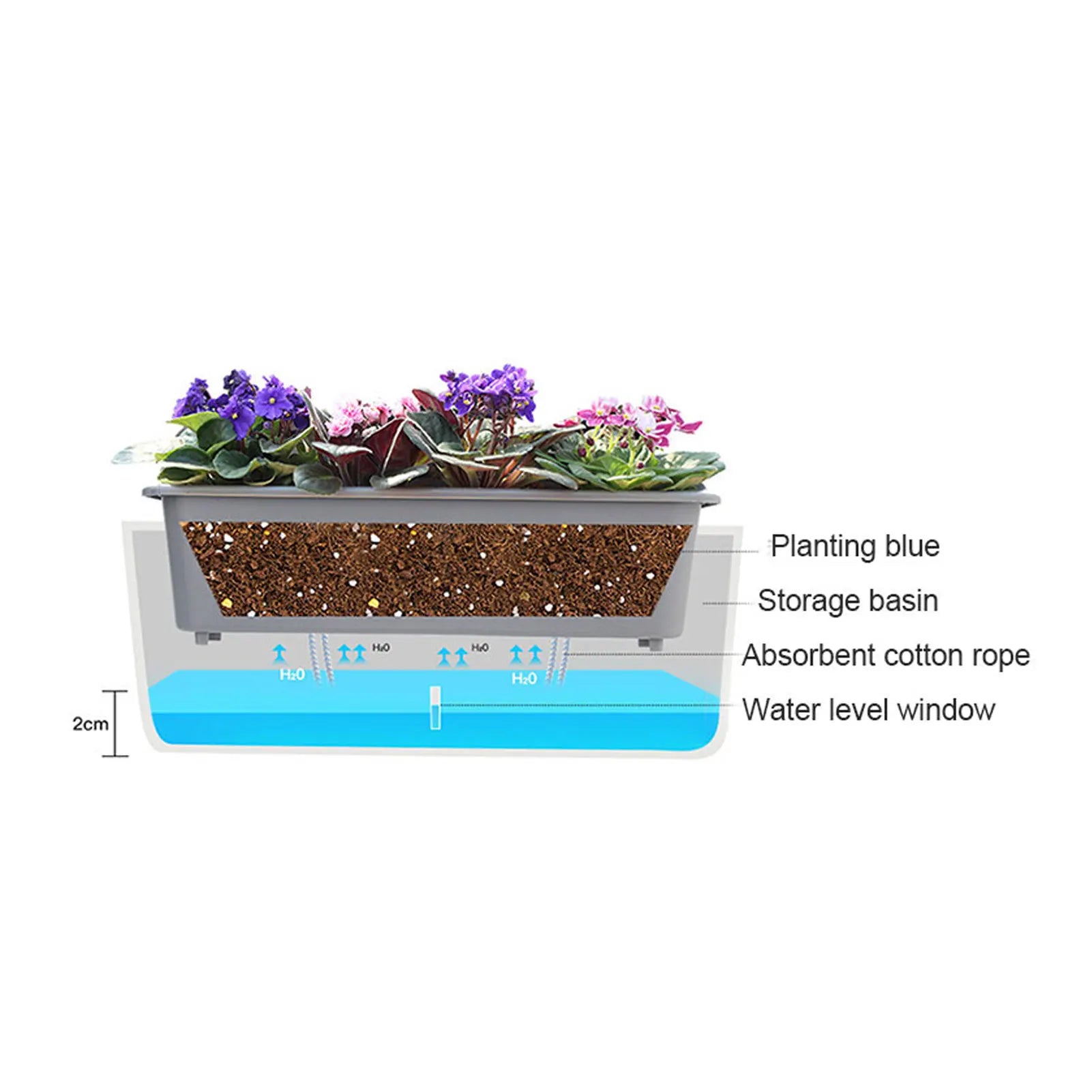 AquaBloom | Selbstbewässernder Blumentopf | Mit Wasserstandsanzeige | 43,5 × 12 × 11 cm