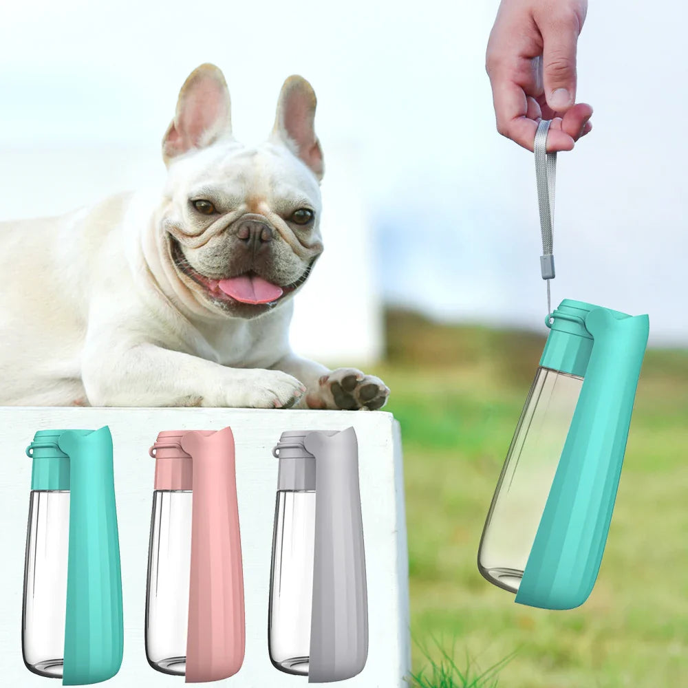 Hunde-Trinkflasche Lapuro FoldDrink | Faltbarer Wasserspender für unterwegs | 550 ml | Für kleine & große Hunde und Katzen