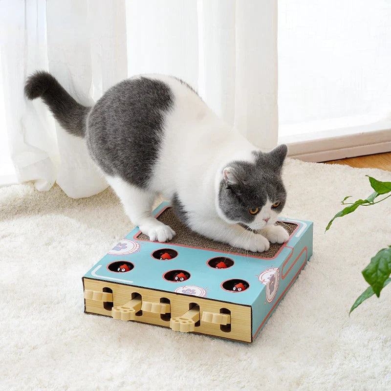 Katzenspielzeug MogliBox Mint | Kratzbrett & Whack-a-Mole Spiel | Interaktiv & Krallenpflege | Holz & Wellpappe