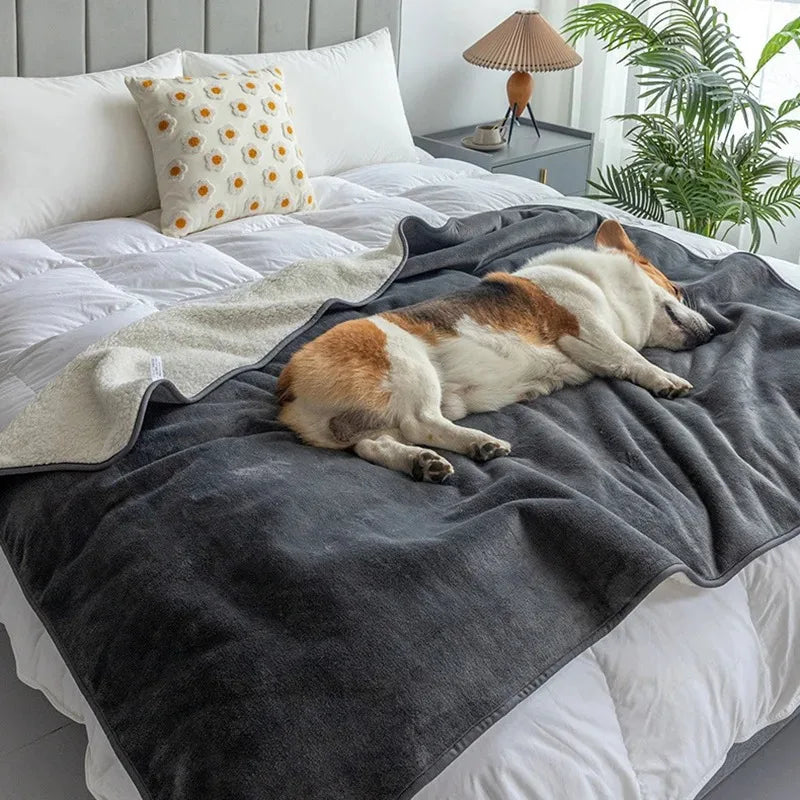 Wasserdichte Haustierdecke PawProof | Für Hunde & Katzen | Kuschelig & Strapazierfähig