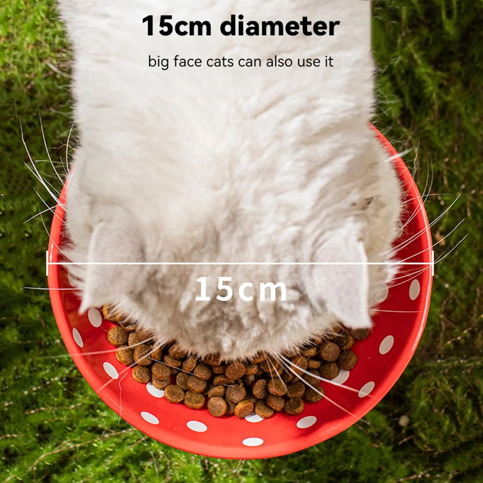 Whiskerella Katzennapf Keramik Erhöht | 15 cm Pilzdesign | Schonend für Schnurrhaare & Nacken | Für Futter & Wasser | Neigbare Form