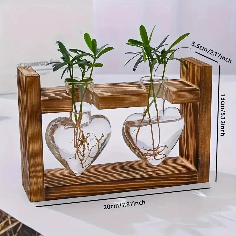 Hydrokultur-Vase Virella | Herzförmiges Glas im Holzrahmen | Dekorativ & Modern | Für Ableger & Zimmerpflanzen