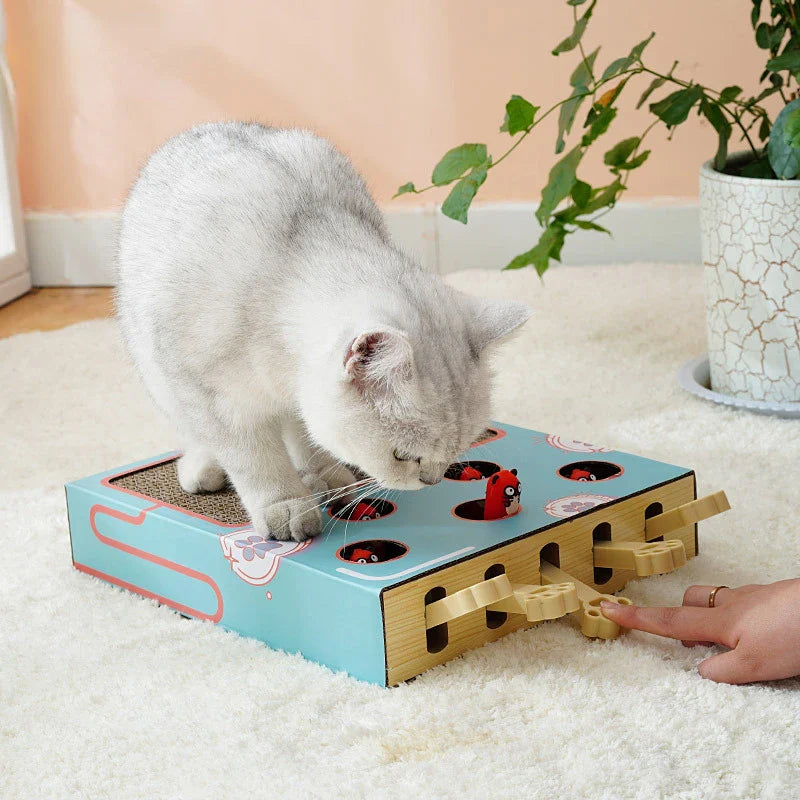 Katzenspielzeug MogliBox Mint | Kratzbrett & Whack-a-Mole Spiel | Interaktiv & Krallenpflege | Holz & Wellpappe