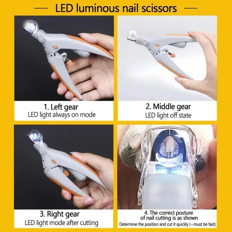 LED Krallenschneider PawBright | Sichere Nagelpflege für Haustiere | Edelstahl & Ergonomischer Griff