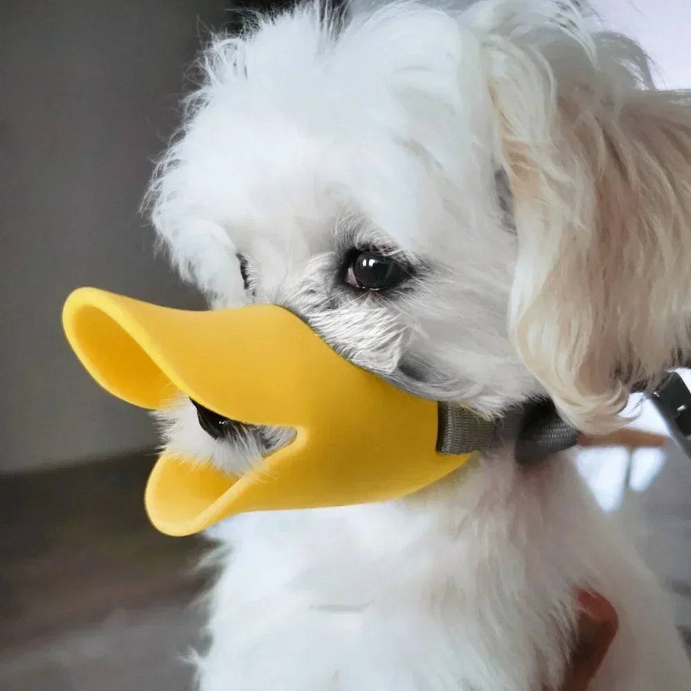 Pawmodo Hunde Maulkorb Ente | Weiches Silikon | Verstellbar & Bequem | Für Pudel, Samojeden & Teddyhunde