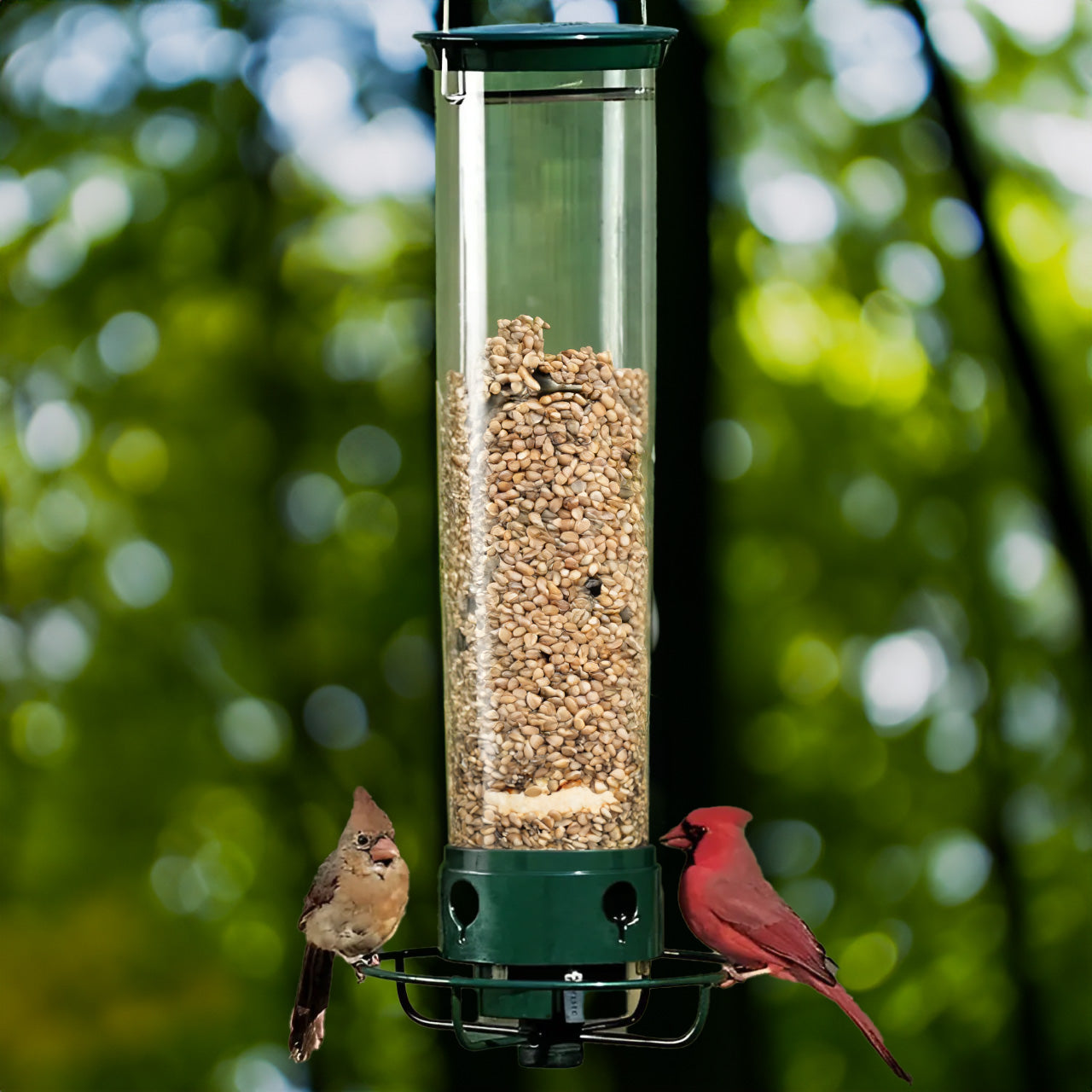 Aviron Vogelfutterspender mit Anti-Eichhörnchen-Schutz | Spinnmechanismus | 4 Futteröffnungen | 2,27 kg Fassungsvermögen