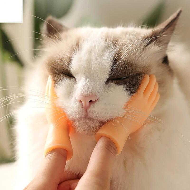 PawsTouch – Das Spielzeug, das jede Katze sofort liebt