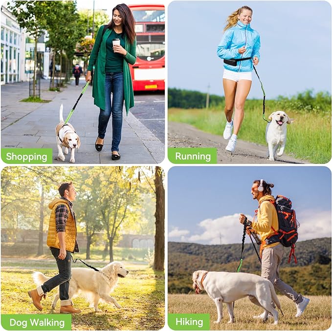 PawsFree Pro – Genieße stressfreie Spaziergänge mit deinem Hund